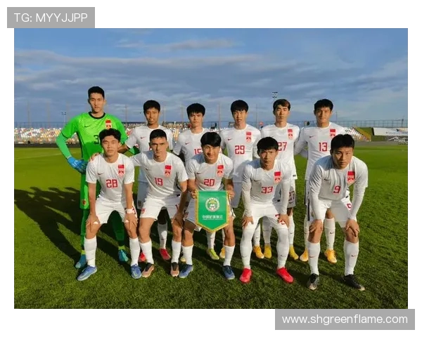 深度剖析上海网球队技术特点与对手实力的全面对比分析