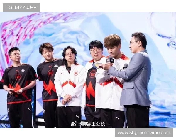 聚焦王者荣耀:WE战队近期状态分析与未来展望