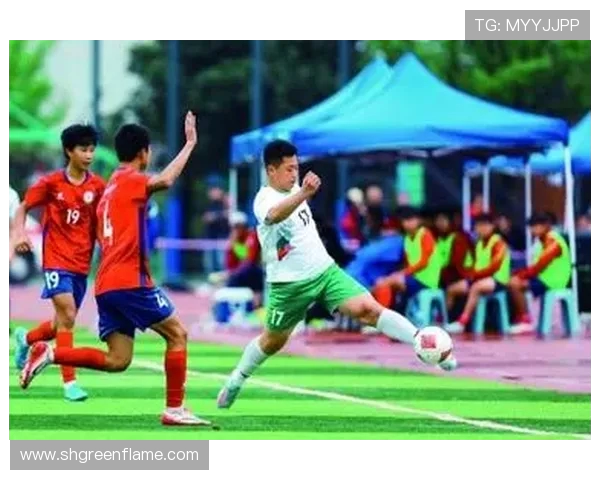 南京足球队实力强劲荣登全国足球实力排行榜第二名